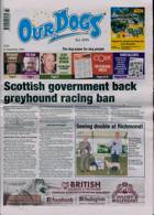 Our Dogs Magazine Issue 12/09/2025