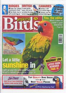 Cage And Aviary Birds Magazine  Order Online