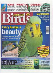 Cage And Aviary Birds Magazine  Order Online