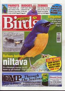 Cage And Aviary Birds Magazine  Order Online