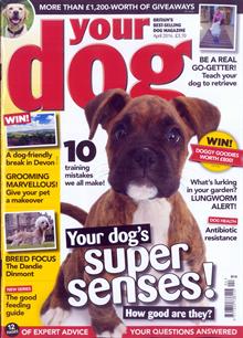 Your Dog Magazine  Order Online