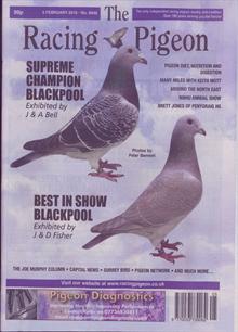 Racing Pigeon Magazine  Order Online