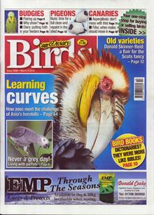 Cage And Aviary Birds Magazine  Order Online