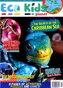 Ecp Magazine  Order Online