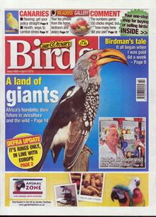 Cage And Aviary Birds Magazine  Order Online