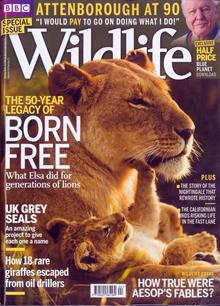 Bbc Wildlife Magazine  Order Online