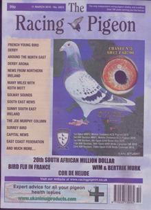 Racing Pigeon Magazine  Order Online