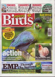 Cage And Aviary Birds Magazine  Order Online