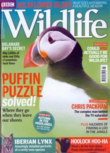 Bbc Wildlife Magazine  Order Online