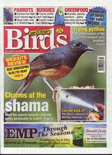 Cage And Aviary Birds Magazine  Order Online
