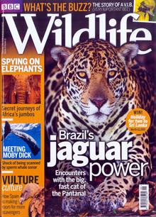 Bbc Wildlife Magazine  Order Online