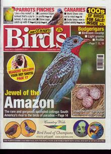 Cage And Aviary Birds Magazine  Order Online