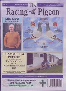 Racing Pigeon Magazine  Order Online