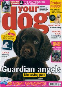 Your Dog Magazine  Order Online