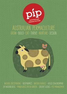 Pip Magazine  Order Online