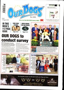 Our Dogs Magazine  Order Online