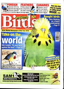 Cage And Aviary Birds Magazine  Order Online