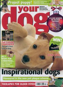 Your Dog Magazine  Order Online
