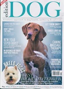 Edition Dog Magazine  Order Online