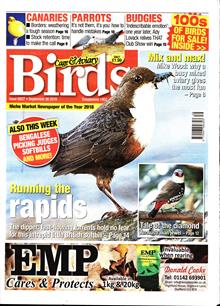 Cage And Aviary Birds Magazine  Order Online