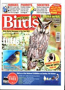 Cage And Aviary Birds Magazine  Order Online