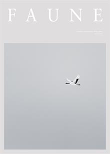 Faune Magazine  Order Online