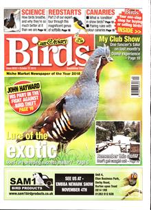 Cage And Aviary Birds Magazine  Order Online