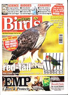 Cage And Aviary Birds Magazine  Order Online