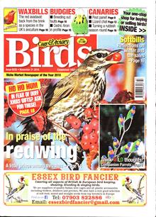 Cage And Aviary Birds Magazine  Order Online