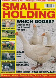 The Smallholder Magazine  Order Online