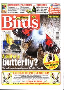 Cage And Aviary Birds Magazine  Order Online