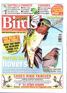 Cage And Aviary Birds Magazine  Order Online