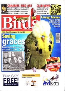 Cage And Aviary Birds Magazine  Order Online