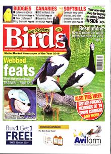 Cage And Aviary Birds Magazine  Order Online