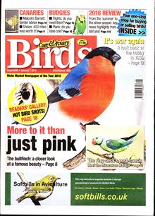 Cage And Aviary Birds Magazine  Order Online