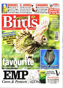 Cage And Aviary Birds Magazine  Order Online