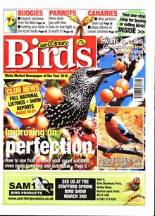 Cage And Aviary Birds Magazine  Order Online