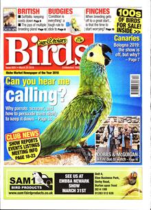 Cage And Aviary Birds Magazine  Order Online