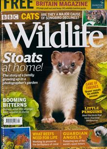 Bbc Wildlife Magazine  Order Online
