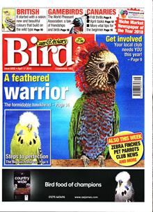 Cage And Aviary Birds Magazine  Order Online