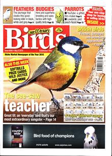 Cage And Aviary Birds Magazine  Order Online