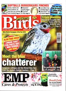 Cage And Aviary Birds Magazine  Order Online