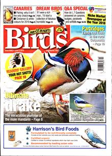 Cage And Aviary Birds Magazine  Order Online