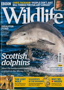 Bbc Wildlife Magazine  Order Online