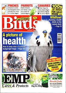 Cage And Aviary Birds Magazine  Order Online