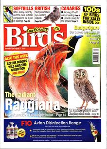 Cage And Aviary Birds Magazine  Order Online
