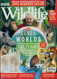 Bbc Wildlife Magazine  Order Online