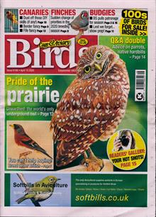 Cage And Aviary Birds Magazine  Order Online