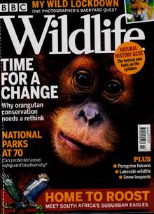 Bbc Wildlife Magazine  Order Online