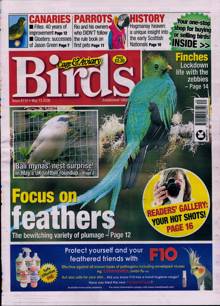 Cage And Aviary Birds Magazine  Order Online